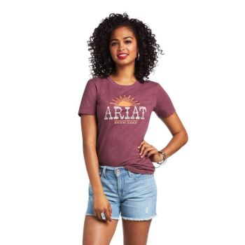 Ariat Ariat Amarillo T-Shirt Bordo | zOPGIEGf