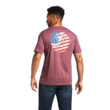 Ariat Ariat Flag Circle T-Shirt Bordo | eh6paA6R