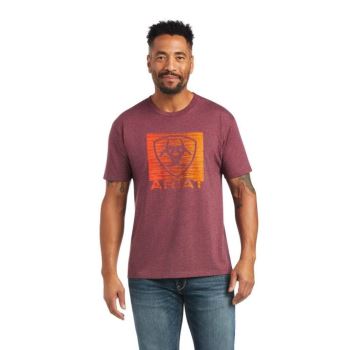 Ariat Ariat Gradient T-Shirt Bordo | xv2Pw0RN