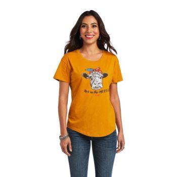 Ariat Ariat Not in the Mood T-Shirt Buckhorn Heather | d0chKsiT