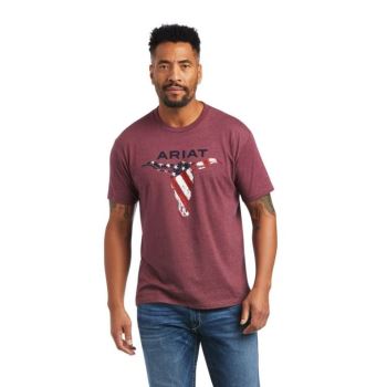 Ariat Ariat Steer Skull USA T-Shirt Bordo | gWmEiKPB