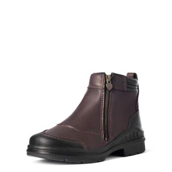 Ariat Barnyard Side Zip Boot Temno Rjave | whgTup6W