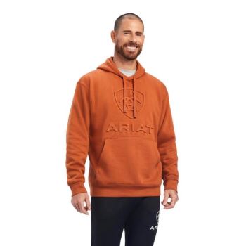 Ariat Basic Hoodie Sweatshirt Mocha Bisque Logo | svtkHOzO