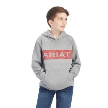 Ariat Basic Hoodie Sweatshirt Oranžne | 1TBcIaFF