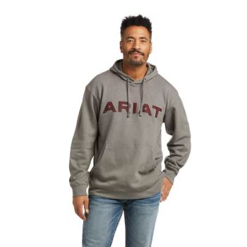 Ariat Basic Hoodie Sweatshirt Sive Rdeče | Gde2v3Zh