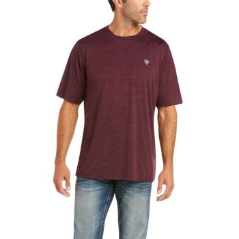 Ariat Charger Grafične Eagle T-Shirt Malbec | F5IEXxO4