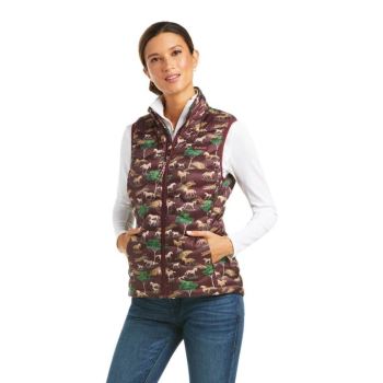 Ariat Ideal 3.0 Down Vest Pasture Print | 8Lv7dPIC