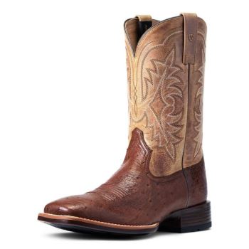 Ariat Night Life Ultra Western Boot Antique Tabac Sq Ostrich | SQQYM2id