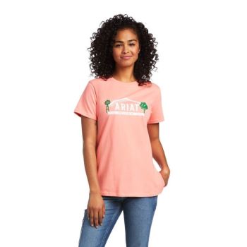 Ariat Rebar Cotton Strong Farm Grafične T-Shirt Summer Melon | KYMuDn4k