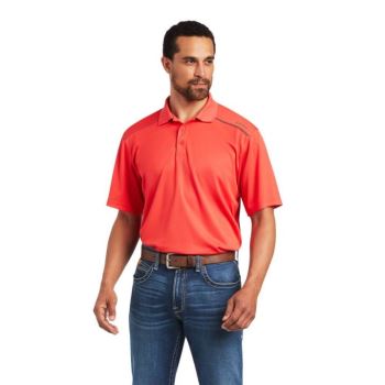 Ariat TEK 2.0 Polo Hibiscus | 1hvT3OwZ