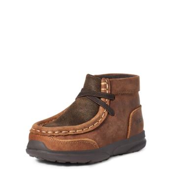 Ariat TODDLER LIL' STOMPERS HEATH SPITFIRE Rjave | T4OwjtdS