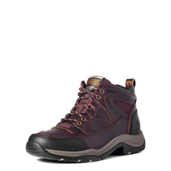 Ariat Terrain Temno Rjave | qRmexe7m