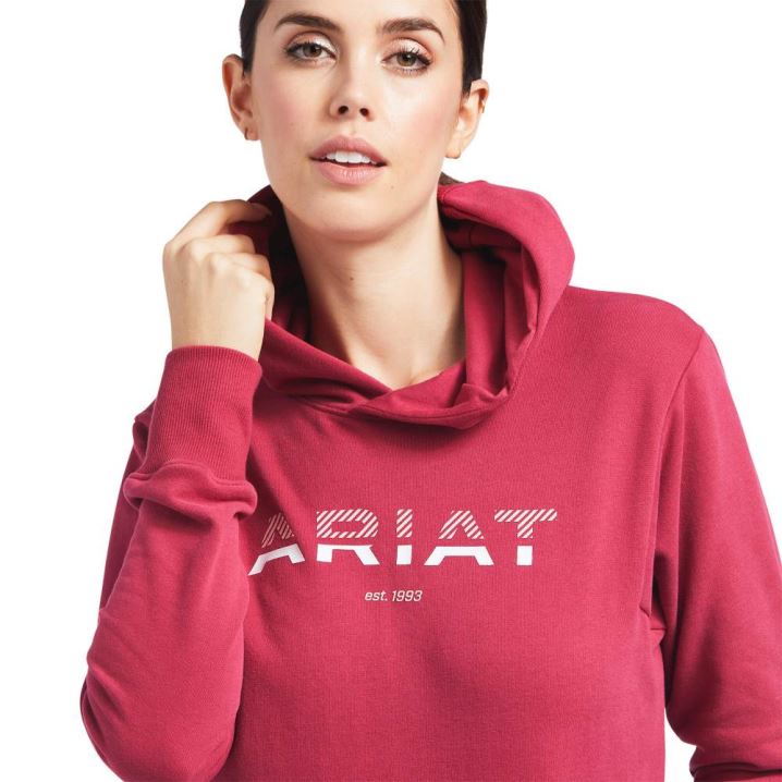 Ariat 3D Logo 2.0 Hoodie Rdeče | CrnrRooX