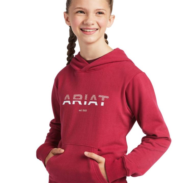 Ariat 3D Logo 2.0 Hoodie Rdeče | bGxjuz2D