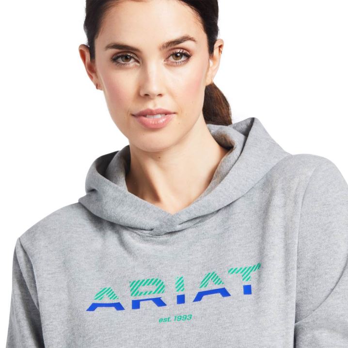 Ariat 3D Logo 2.0 Hoodie Sive | l6s9kB8K