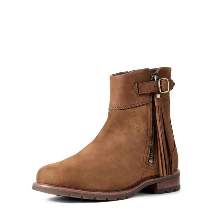 Ariat Abbey Boot Rjave | qqipxzAx