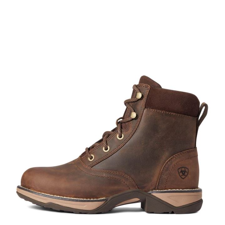 Ariat Anthem Round Toe Lacer Boot Rjave | E7lPzw2o