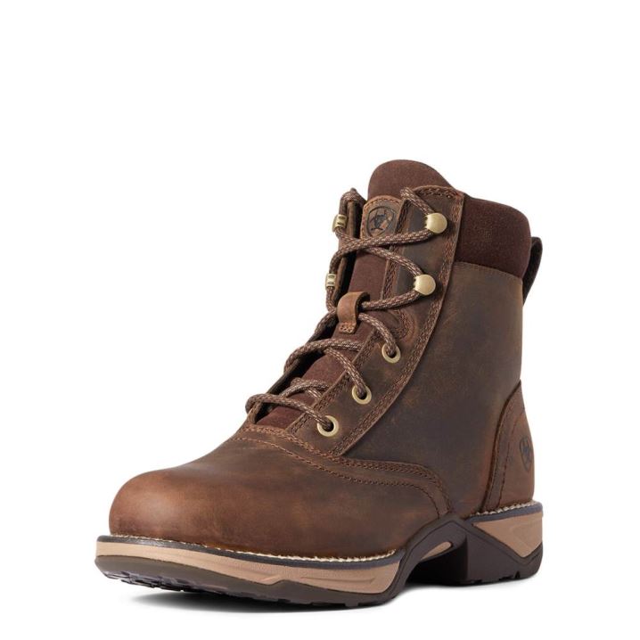 Ariat Anthem Round Toe Lacer Boot Rjave | E7lPzw2o