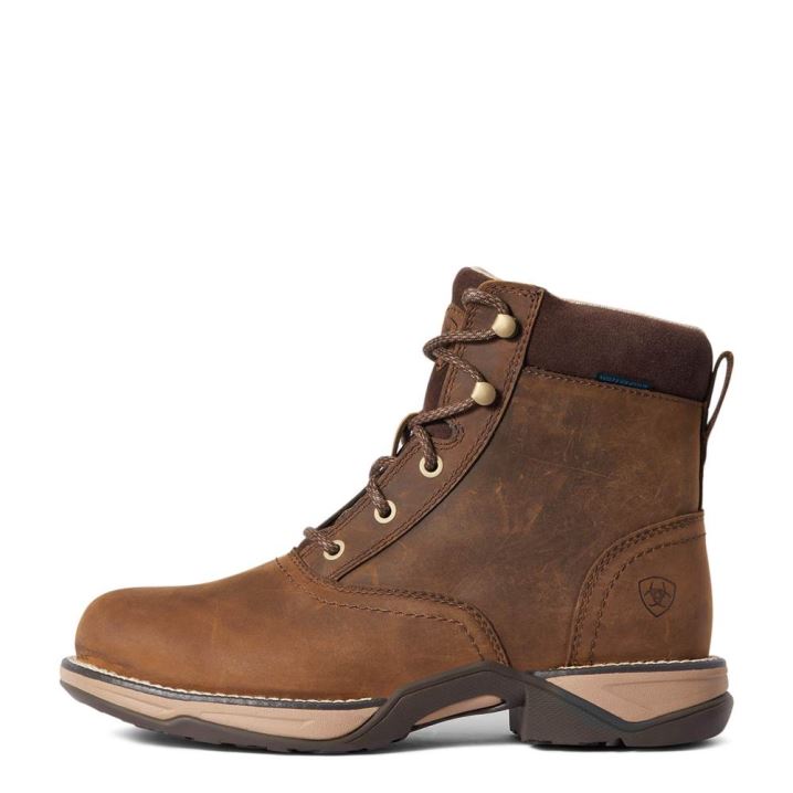 Ariat Anthem Round Toe Lacer Waterproof Boot Rjave | Lg3wReZ7