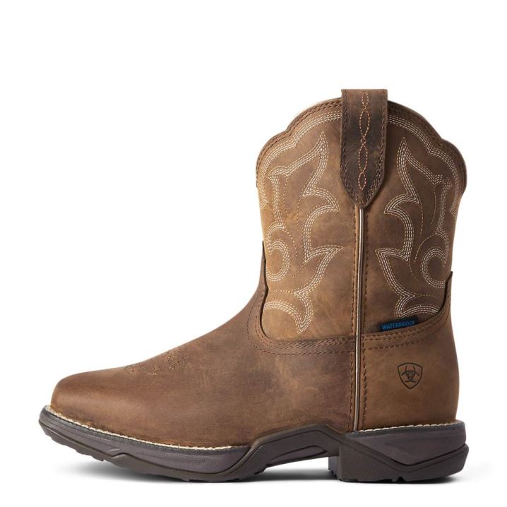 Ariat Anthem Shortie II Waterproof Western Boot Rjave | IDmlQQKN