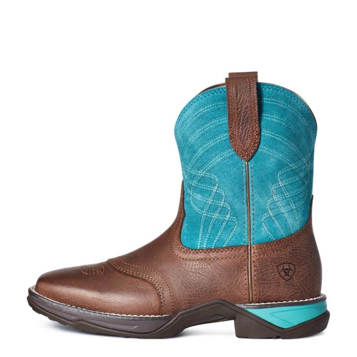 Ariat Anthem Shortie Western Boot Dark_cottage | zJYlZWpQ