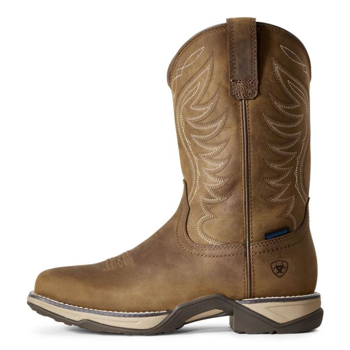 Ariat Anthem Waterproof Western Boot Rjave | 90HC0Peg