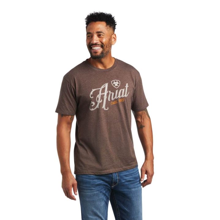 Ariat Ariat 100 Proof T-Shirt Rjave | 3kwx72WL