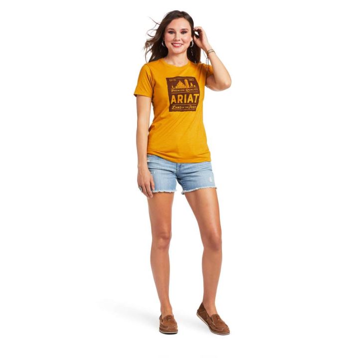 Ariat Ariat Farmland T-Shirt Buckhorn Heather | GcHG8SGz