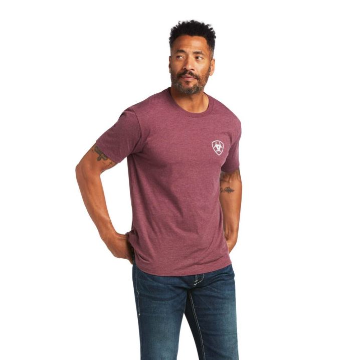 Ariat Ariat Flag Circle T-Shirt Bordo | eh6paA6R