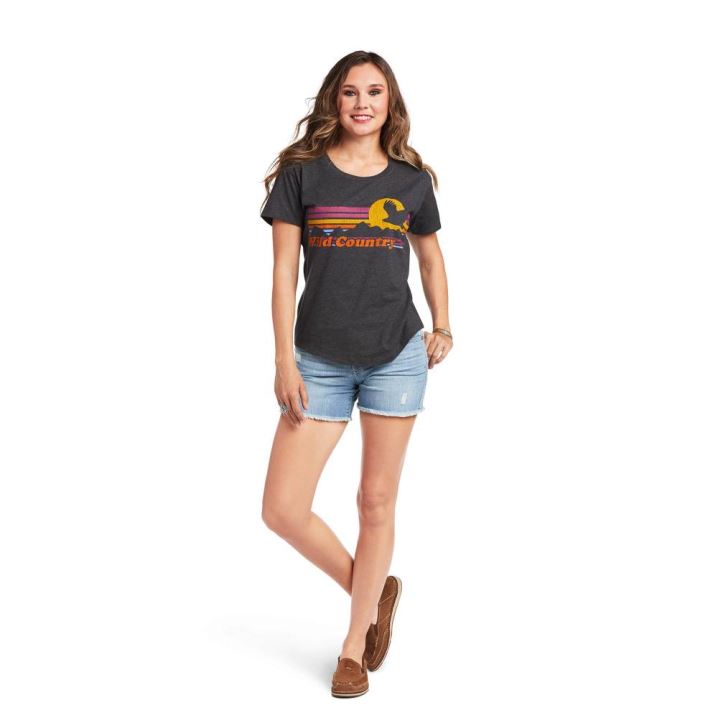 Ariat Ariat Wild Country T-Shirt Sive | AAWN3KVD