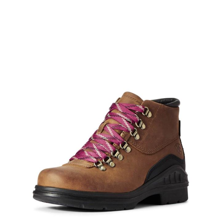 Ariat Barnyard Lace Waterproof Boot Rdeče Rjave | bb6YZx1m