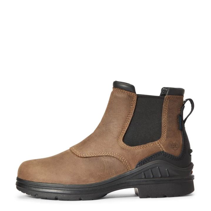 Ariat Barnyard Twin Gore II Waterproof Boot Rjave | IGdyQJCv