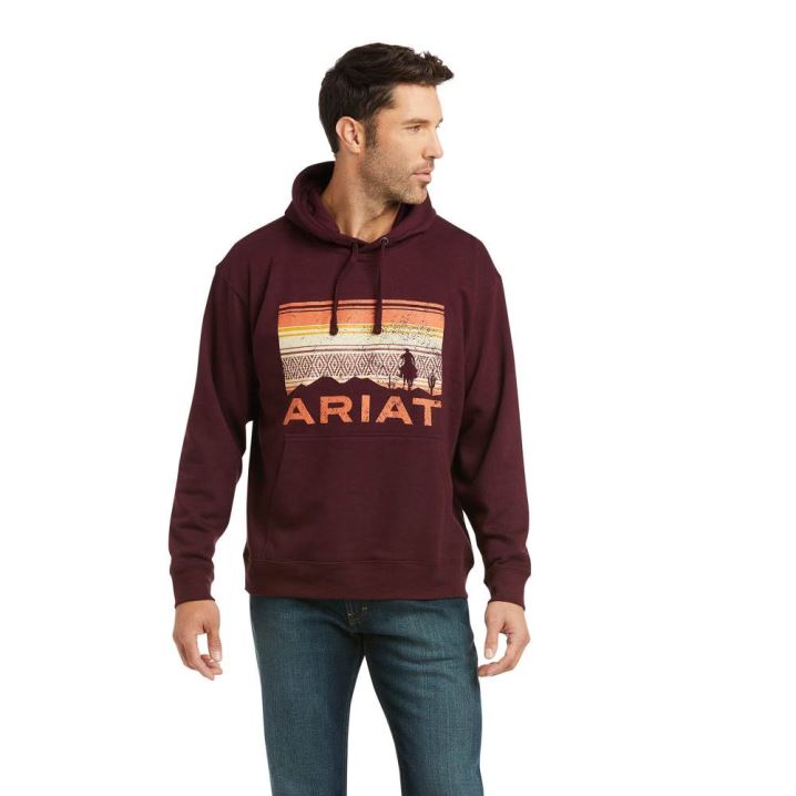 Ariat Basic Hoodie Sweatshirt Malbec Southwest Scenic | QKkOoB0Q