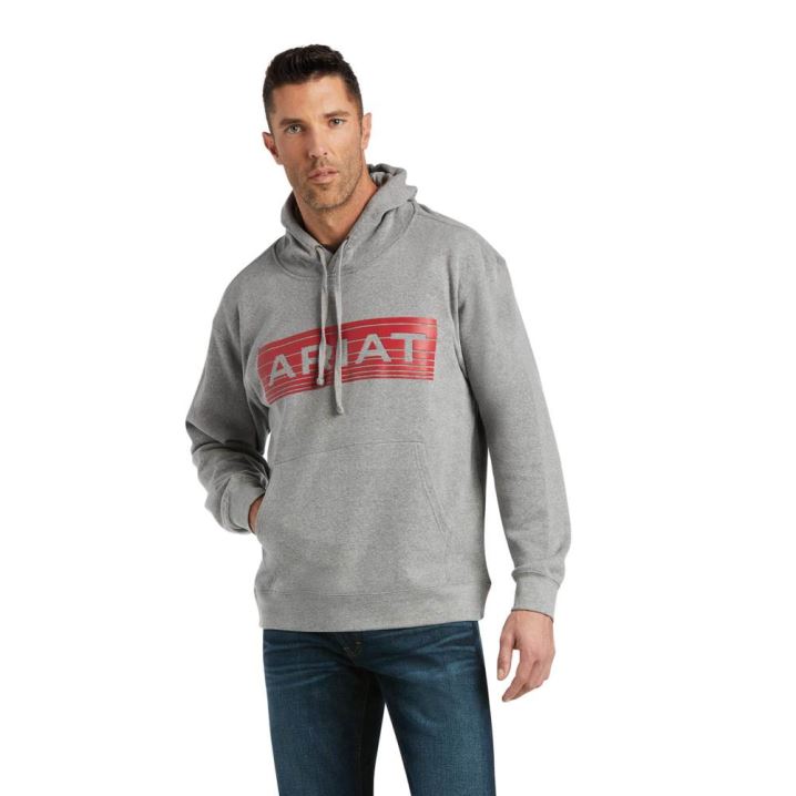 Ariat Basic Hoodie Sweatshirt Oranžne | MUmkFkPn