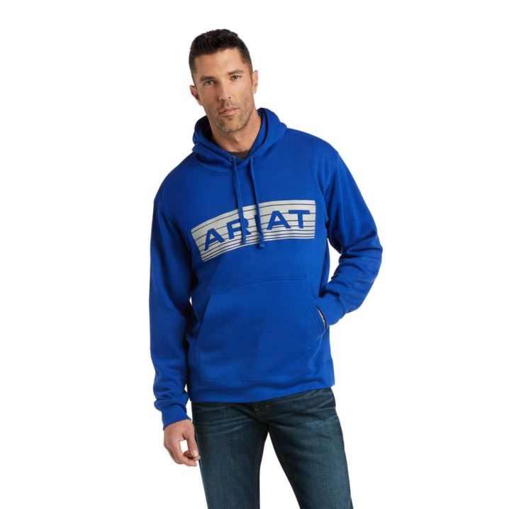 Ariat Basic Hoodie Sweatshirt Sive | 6v19zios