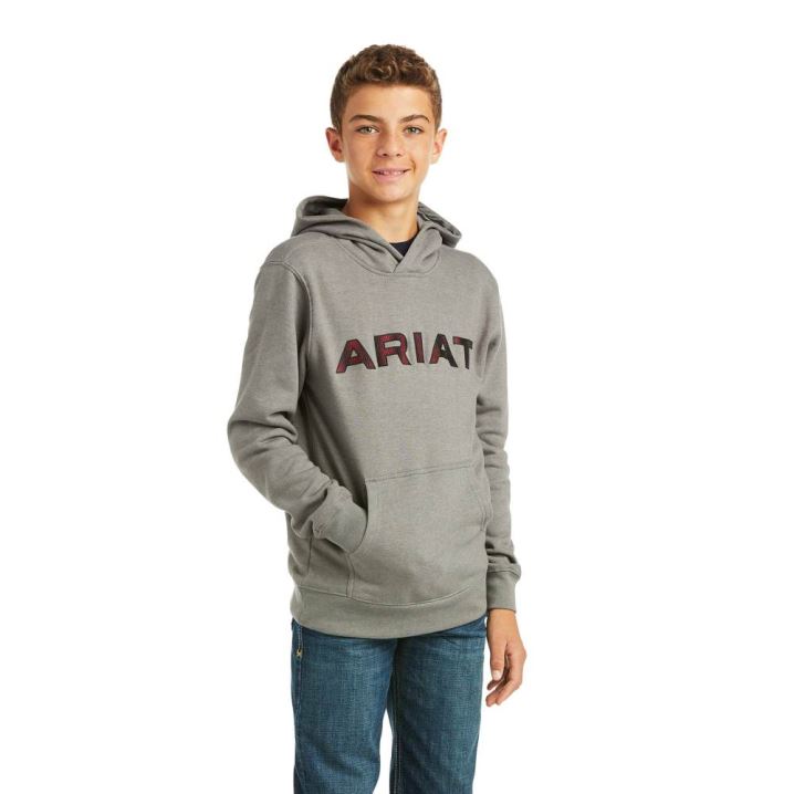 Ariat Basic Hoodie Sweatshirt Sive Rdeče | wa95Y7B8