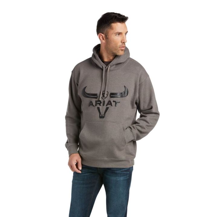 Ariat Basic Hoodie Sweatshirt Sive | lu6yPKXz