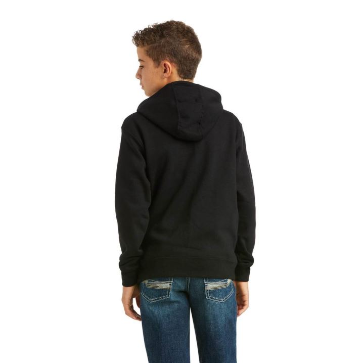 Ariat Basic Hoodie Sweatshirt Črne Zelene | eT9ZfGPL