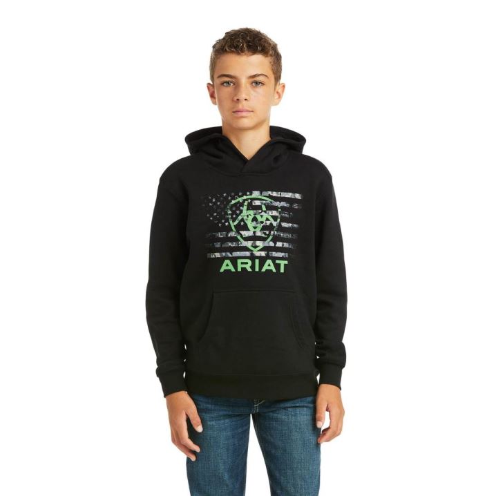 Ariat Basic Hoodie Sweatshirt Črne Zelene | eT9ZfGPL