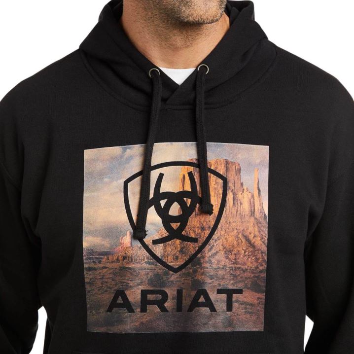 Ariat Basic Hoodie Sweatshirt Črne | eIeejUci