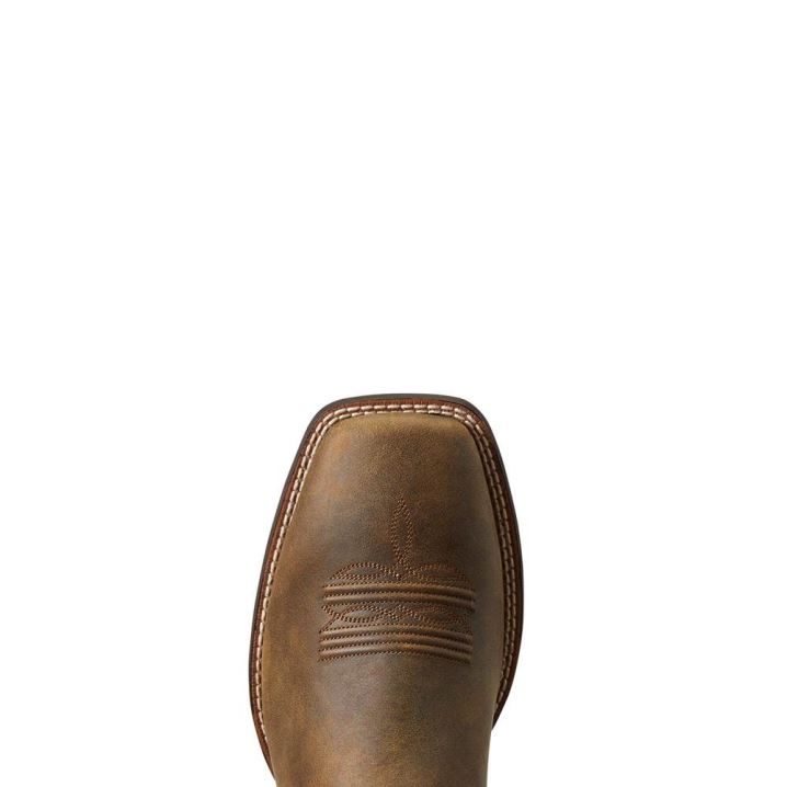 Ariat Brander Western Boot Rjave | z5DNAGll