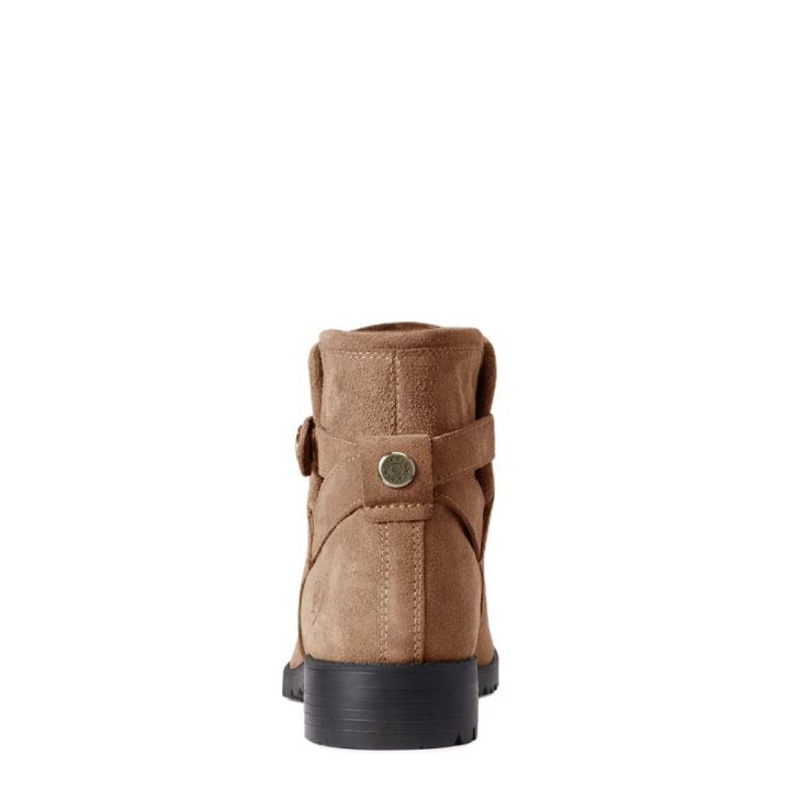 Ariat Charlie Waterproof Boot Fawn | 0qqwhqoB