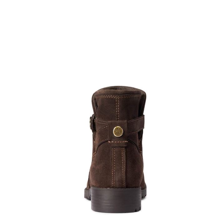 Ariat Charlie Waterproof Boot Čokolade | itHqlKhn