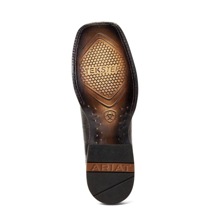 Ariat Circuit Eagle Western Boot Rjave | eCzMBJdx