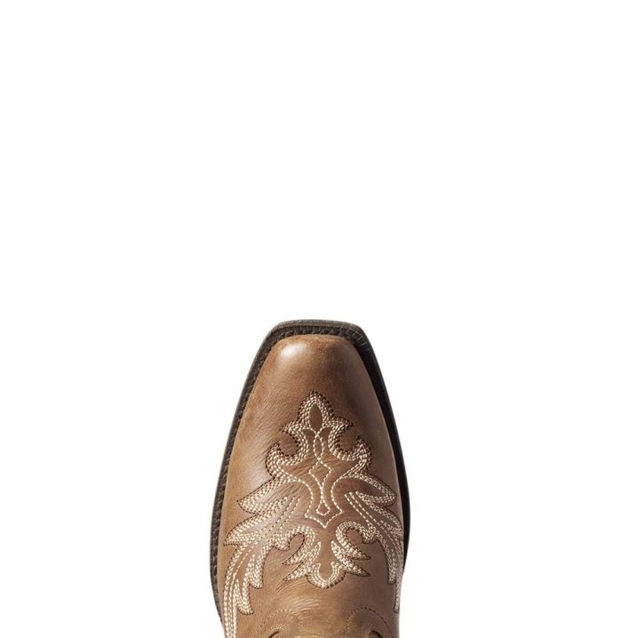 Ariat Circuit Rosewood Western Boot Bež Rjave | LJ5ST7Em