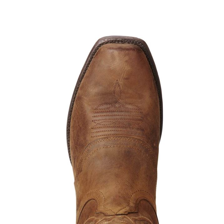 Ariat Circuit Striker Western Boot Rdeče Rjave | q0BbPOEJ