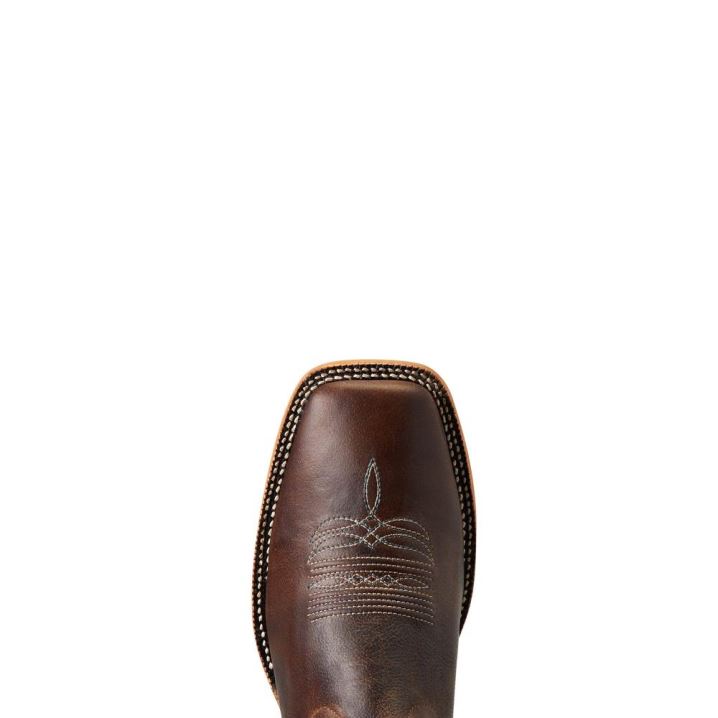 Ariat Cow Camp Western Boot Rjave | 9qbYfREB