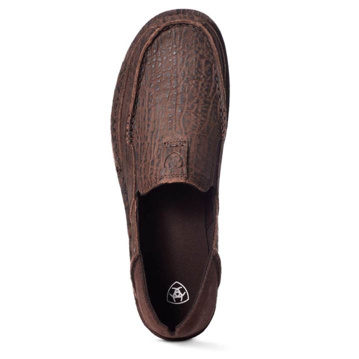 Ariat Cruiser Bark Bison | STLcrfJn