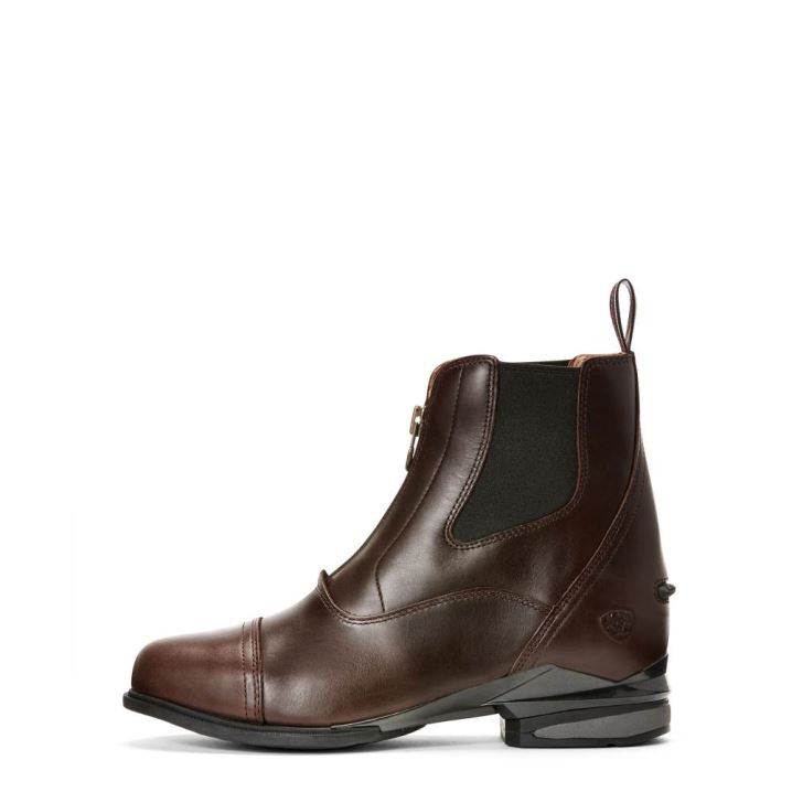 Ariat Devon Nitro Paddock Boot Čokolade | 4xD4rhvq