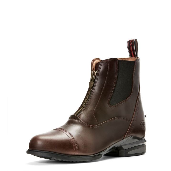 Ariat Devon Nitro Paddock Boot Čokolade | 4xD4rhvq